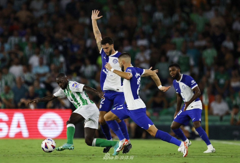 体竞技水平 体竞技水平